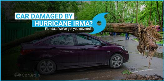 got-hurricane-irma-car-damage